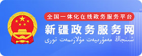 新疆政务服务网