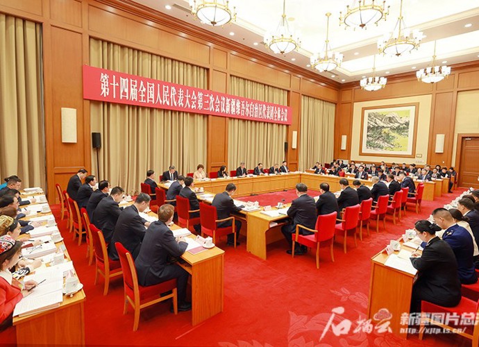新疆代表团举行全体会议审议政府工作报告