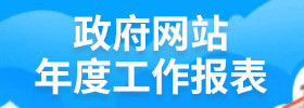 政府网站年度工作报表