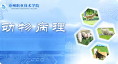 动物病理