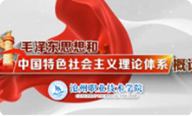毛泽东思想和中国特色社会主义理论体系概论
