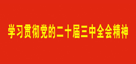 学习贯彻党的二十届三中全会精神